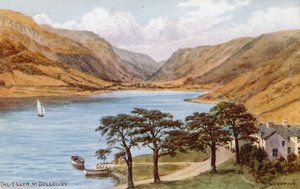 Tal-y-Llyn, Near Dolgelley